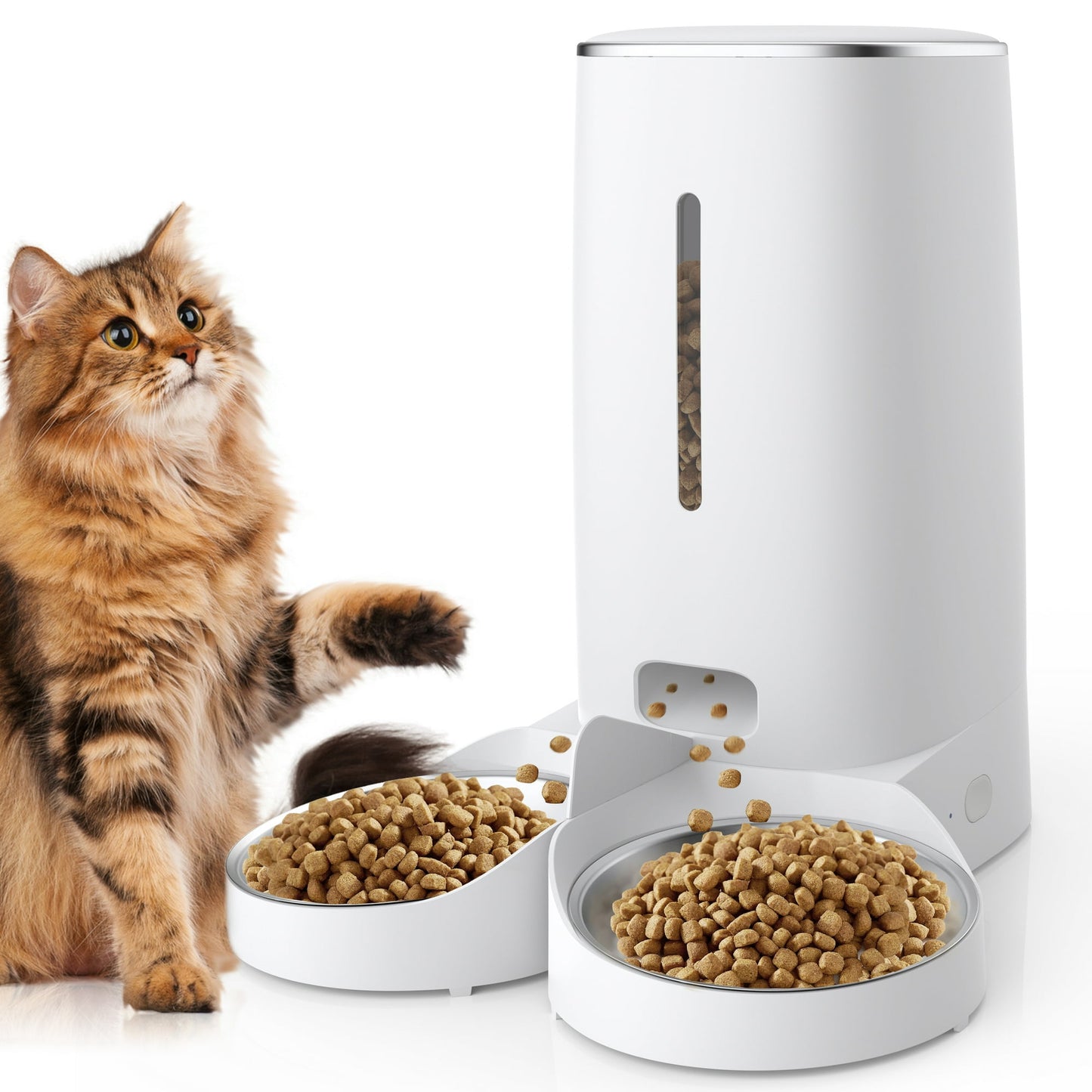 GOOVI Automatic Cat Feeders, Timed Dog Feeder 4L Programmable Control 1-10 Meals Pet Dry Food Dispenser with Desiccant Bag for Cats and Small Medium Dogs, Dual Power Supply